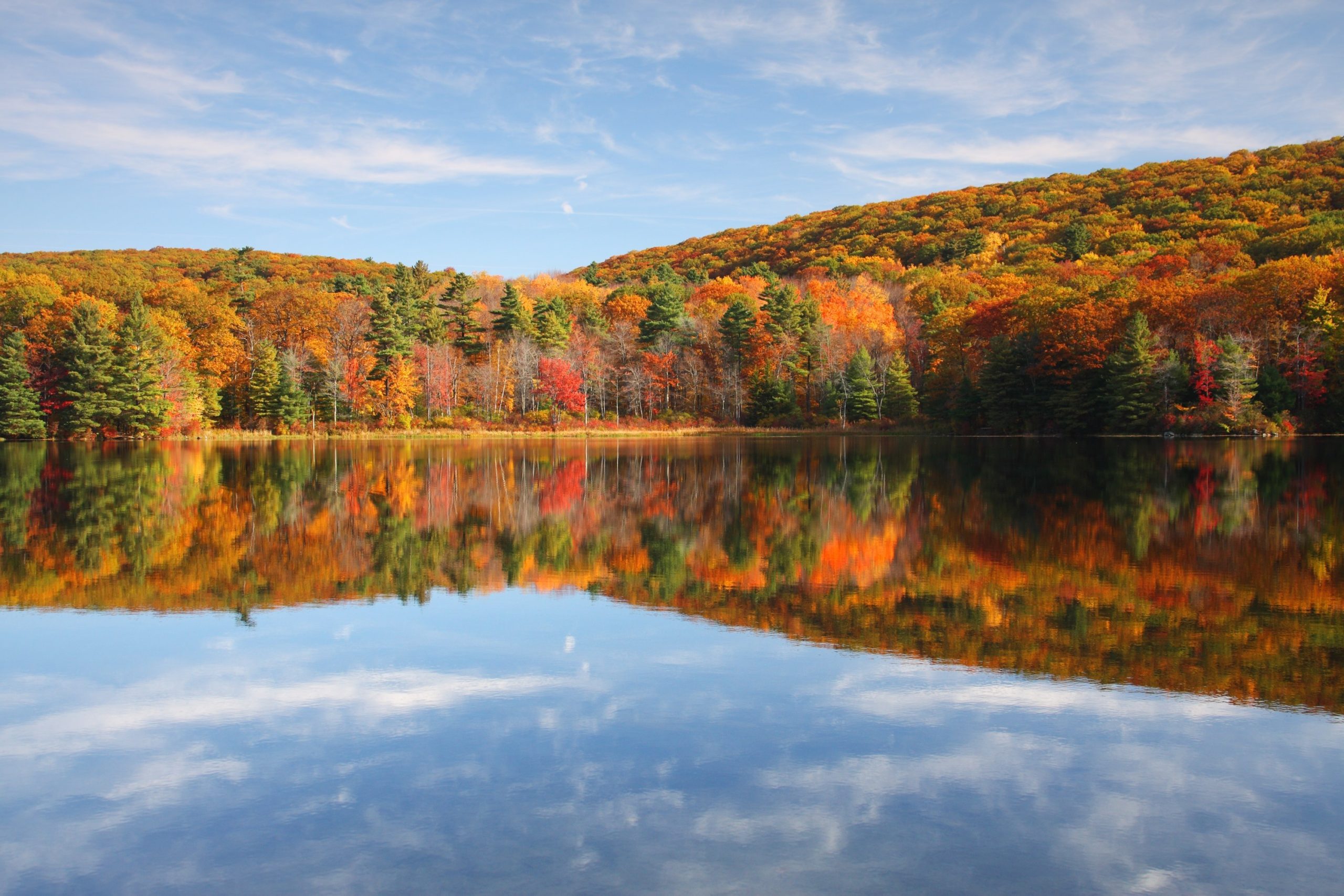 The best destinations for fall foliage in 2020