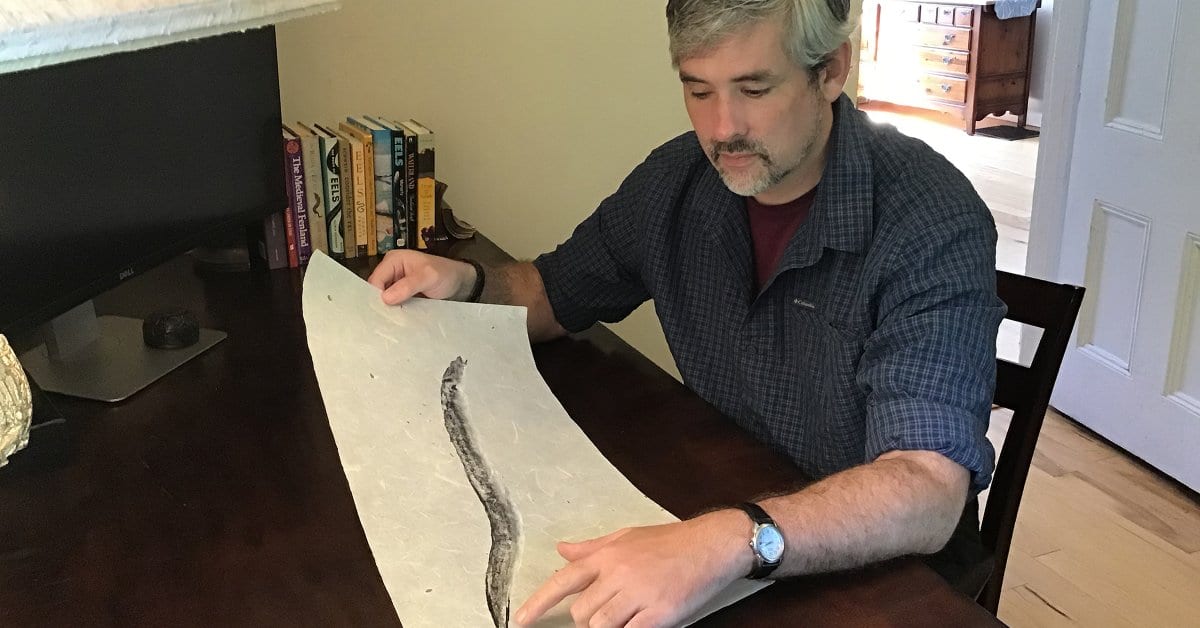 History and Conservation Meet in a 'Surprised Eel Historian'