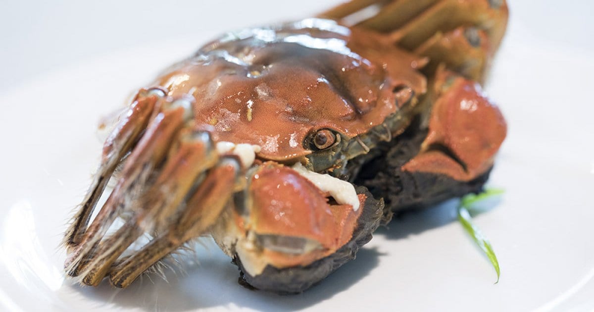 The ecstasy and the ordeal of eating hairy crabs