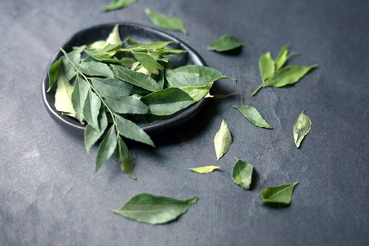 Fragrant fresh curry leaves add brighter notes to the curry powder and curry paste used.