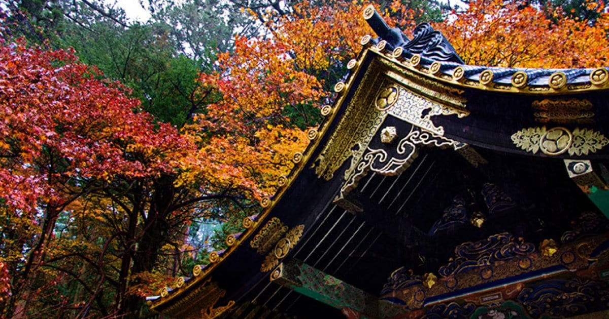 Fall feast: A taste of Japan’s autumnal flavours
