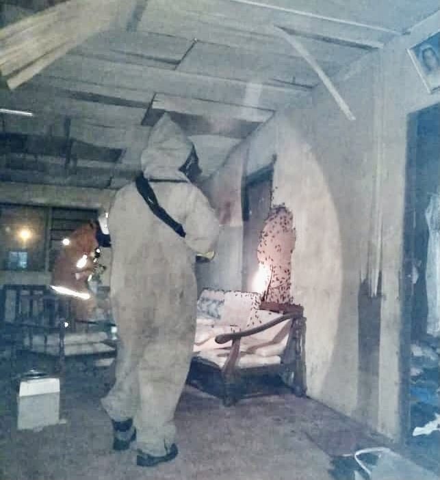 Lawas firefighters make 30km trip to remove huge bees nest from house