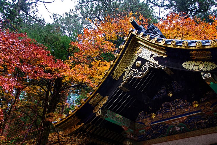 Fall foliage burst in a riot of red, orange and gold above a Japanese temple — Pictures by CK Lim