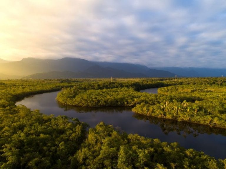 Satellite data helped indigenous Peruvians save rainforest: study