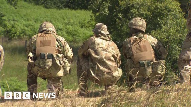 Russia-Ukraine war: UK training programme gets under way
