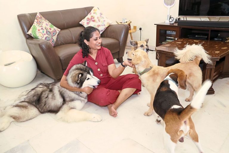 Malaysian housewife gives pet dogs a home-away-from-home